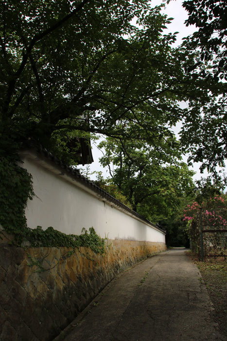 e0128863_10155605.jpg