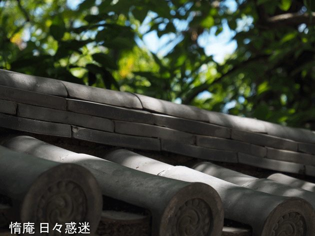 e0346064_17544574.gif