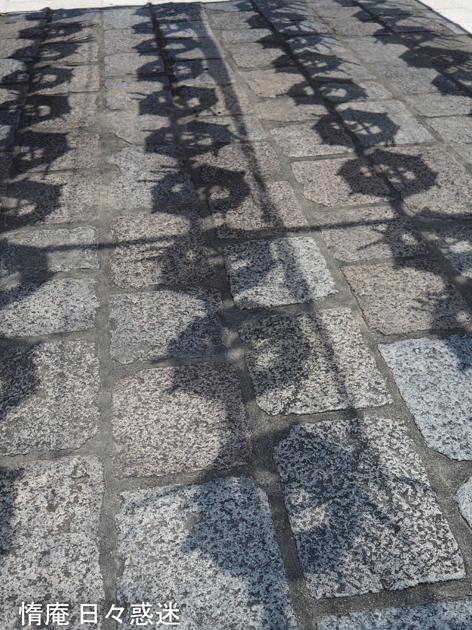 e0346064_17544685.gif