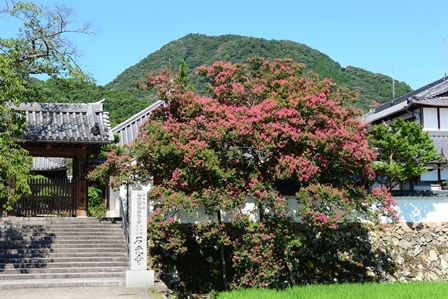 c0303868_14274201.jpg