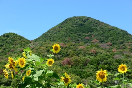 c0303868_14555165.jpg