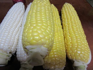b0162372_20010484.jpg