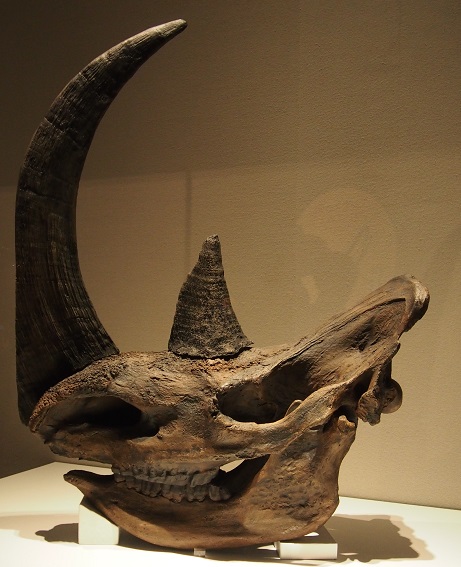 f0101679_0432940.jpg
