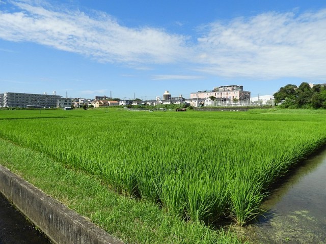 f0378979_14354455.jpg