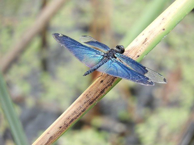 f0378979_14363202.jpg