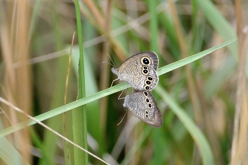 f0031682_19310932.jpg