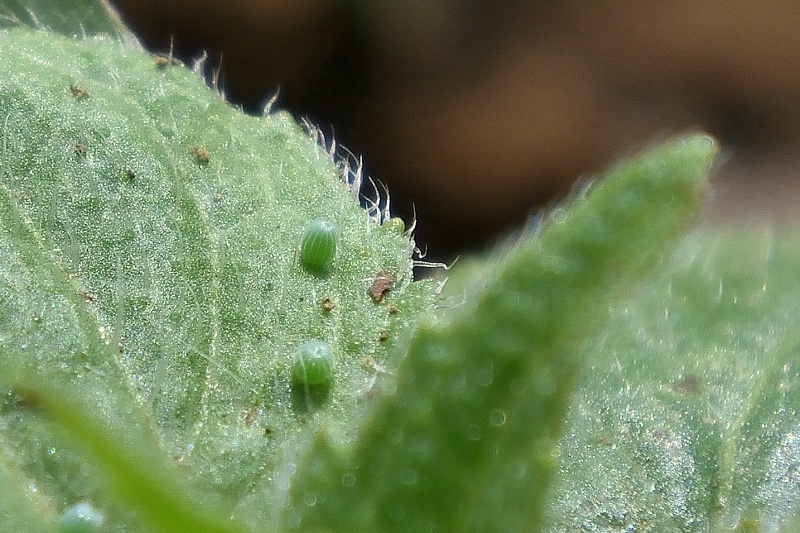 f0031682_19311007.jpg