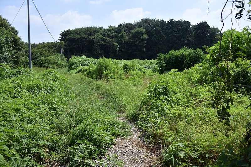 f0031682_19312928.jpg