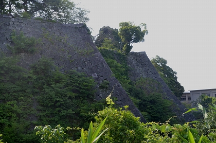 c0229483_23485621.jpg
