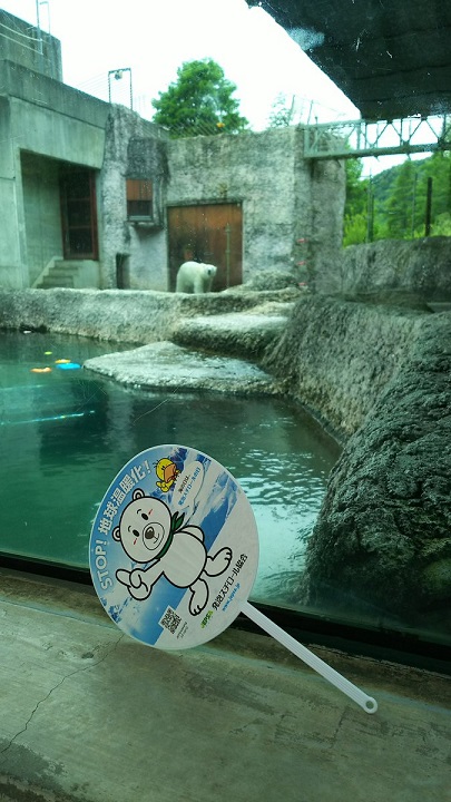 a0052986_7292975.jpg