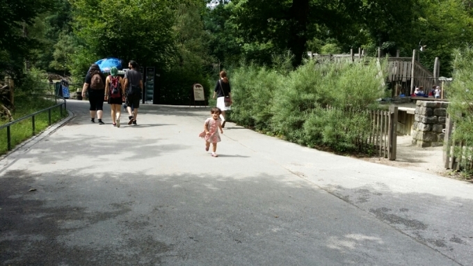 b0169887_21280807.jpg