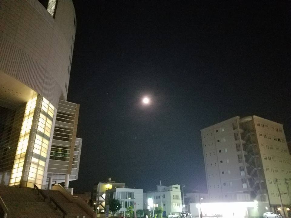 c0186691_10025828.jpg