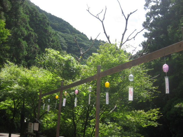 b0183111_23311421.jpg