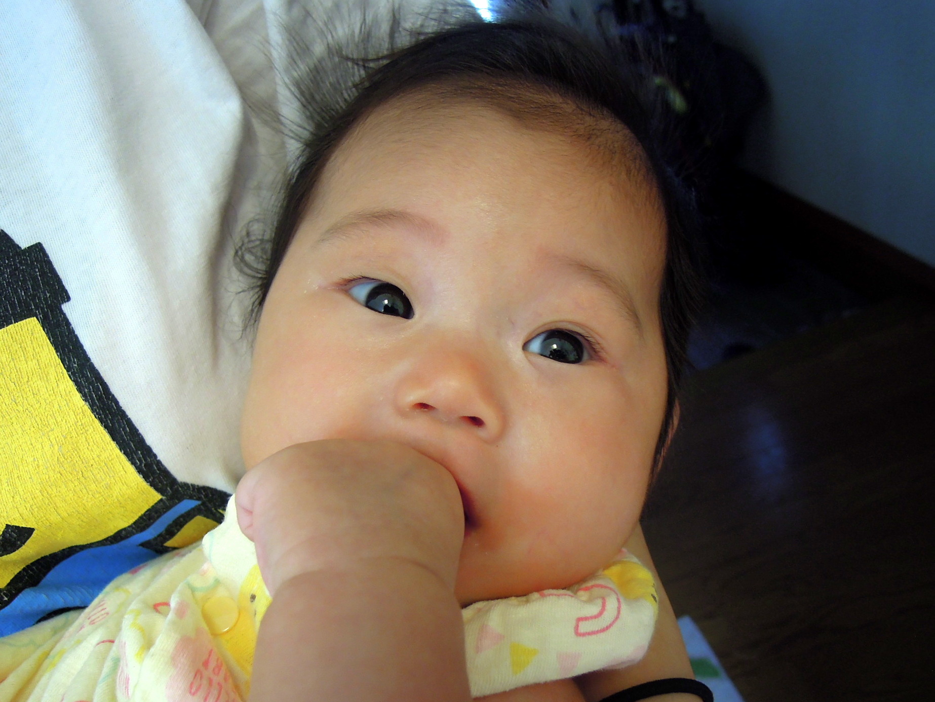 a0158613_15190539.jpg