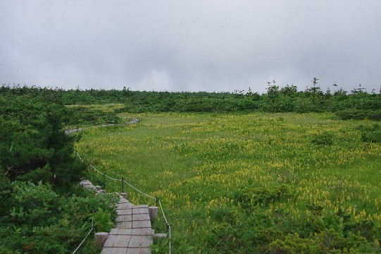 c0152317_22085782.jpg