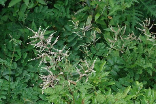 c0152317_22093192.jpg