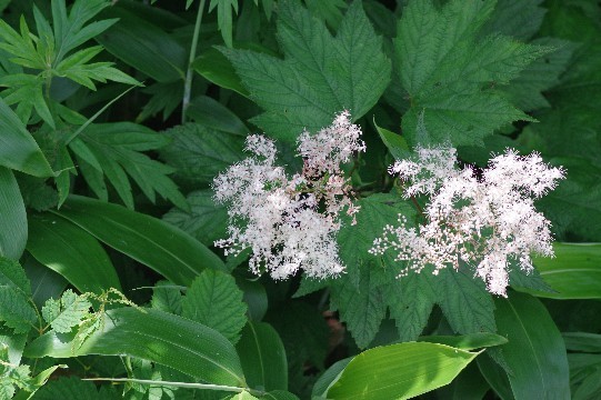 c0152317_22094077.jpg