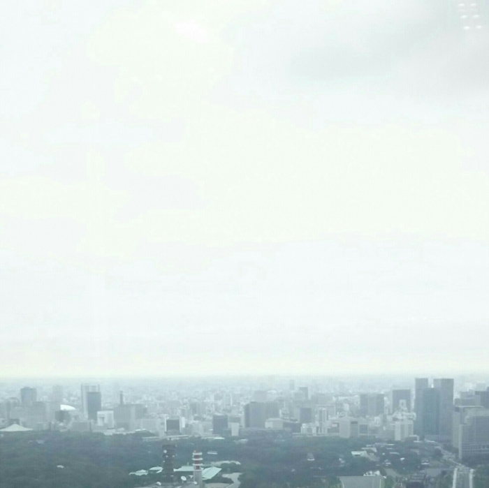 a0169924_19550448.jpg