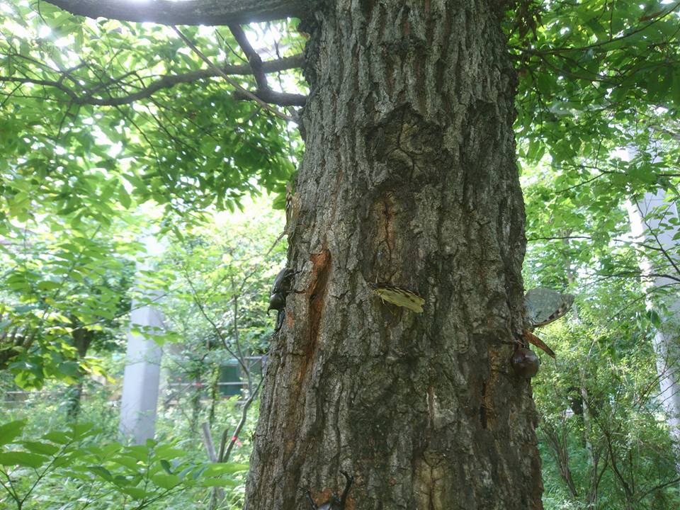 f0161535_0152381.jpg