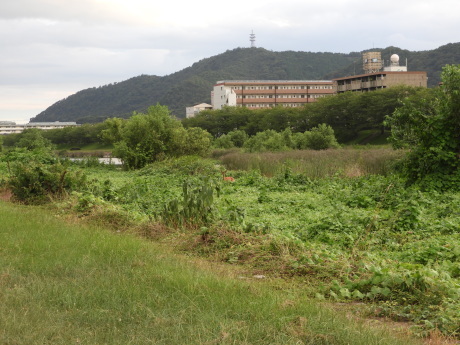 f0113136_20585545.jpg