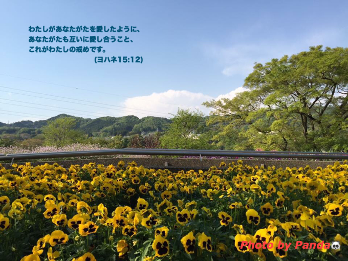 d0100239_01122870.jpg