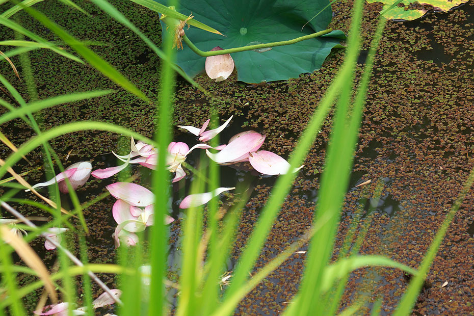 c0067040_23280140.jpg