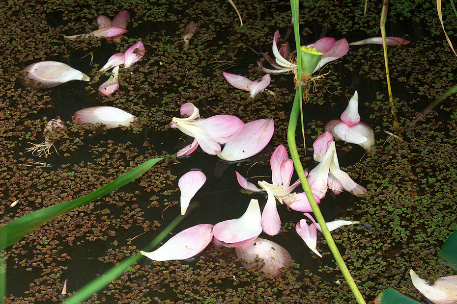 c0067040_23281824.jpg