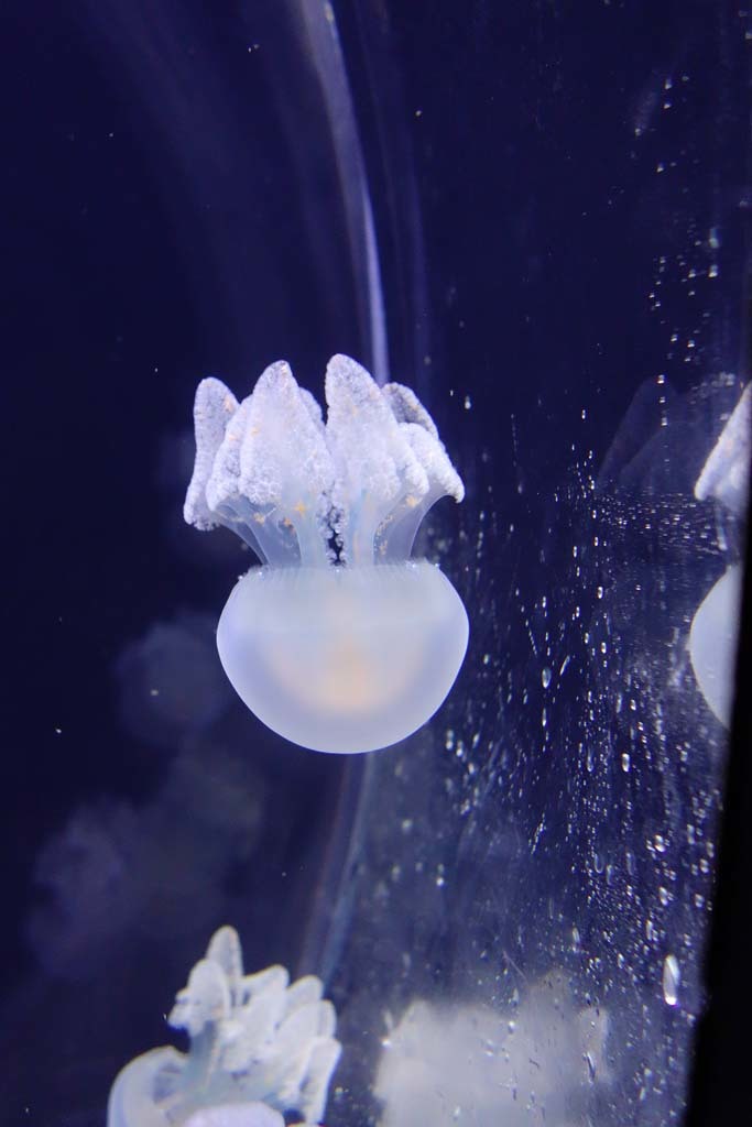 d0250840_00541117.jpg