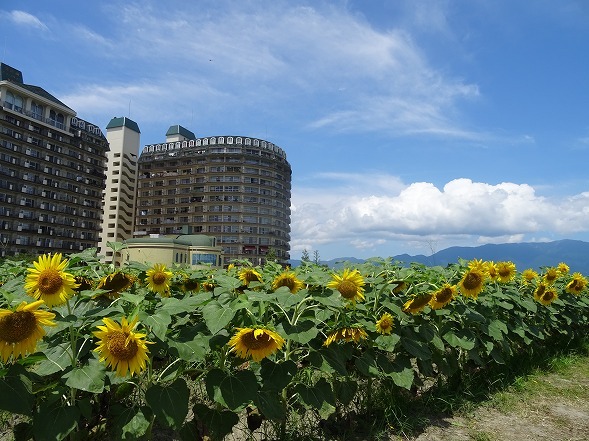b0299042_19464638.jpg