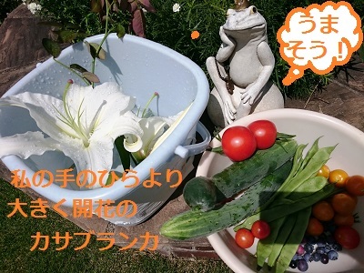 d0306248_17362331.jpg