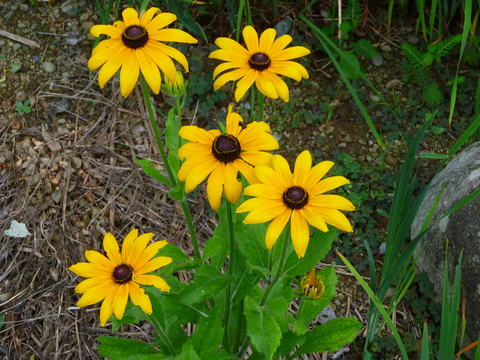 b0002549_11355161.jpg