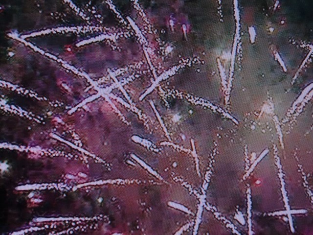 f0329849_13355026.jpg