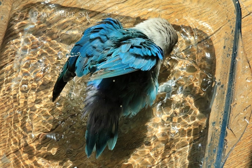 c0145250_09442300.jpg