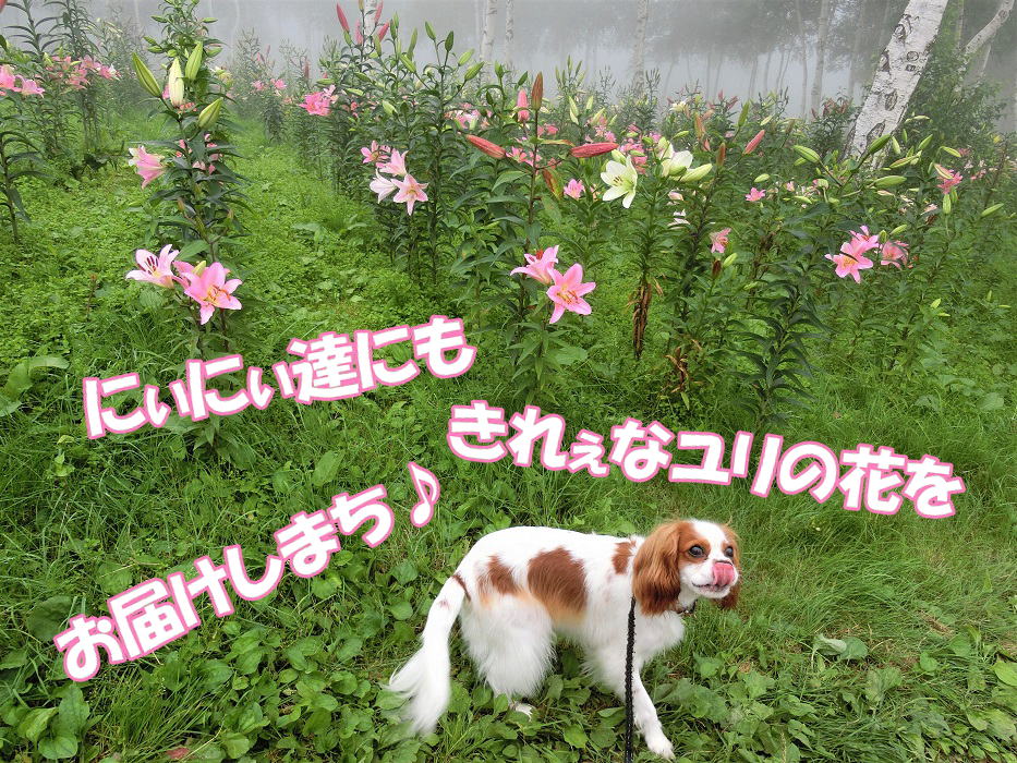 b0279153_1620158.jpg