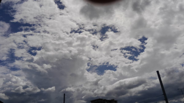 c0121953_20074073.jpg