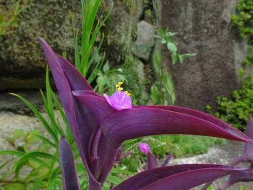 a0018655_14433103.jpg
