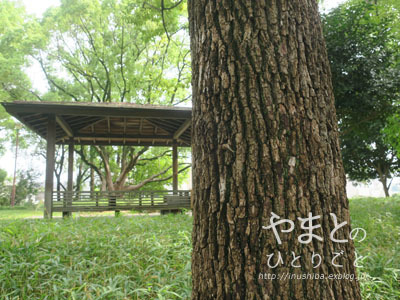 a0286855_06063591.jpg