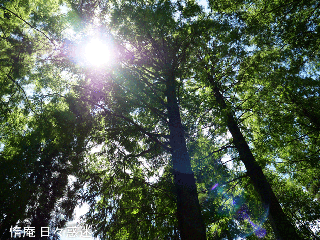 e0346064_15033421.gif