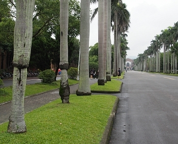 d0021969_17233415.jpg