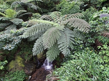 d0021969_17233684.jpg