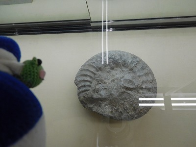 d0082272_20243875.jpg