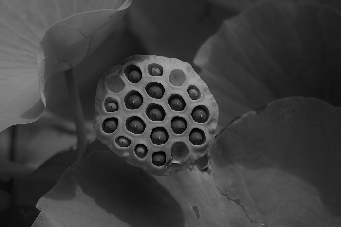 e0344574_13491947.jpg