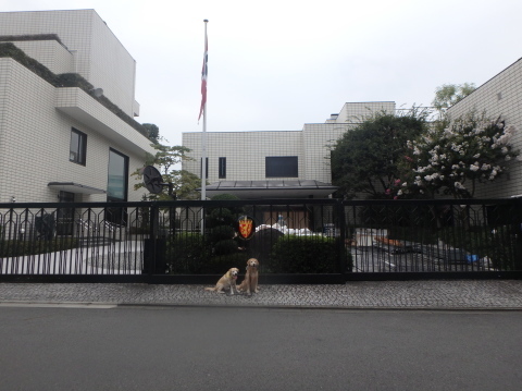 f0052277_02535084.jpg