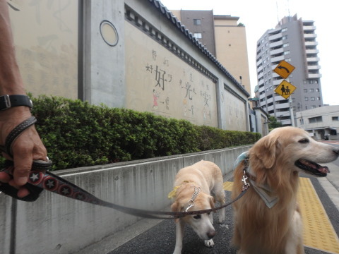 f0052277_02544719.jpg