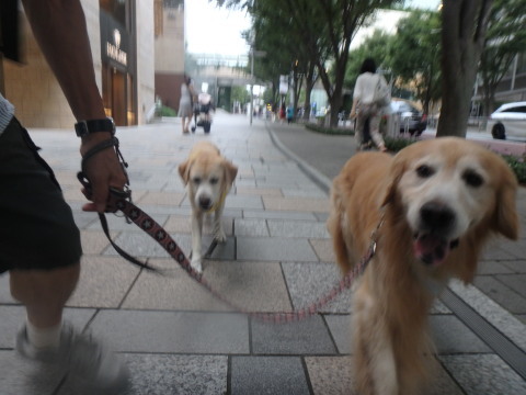 f0052277_02554965.jpg