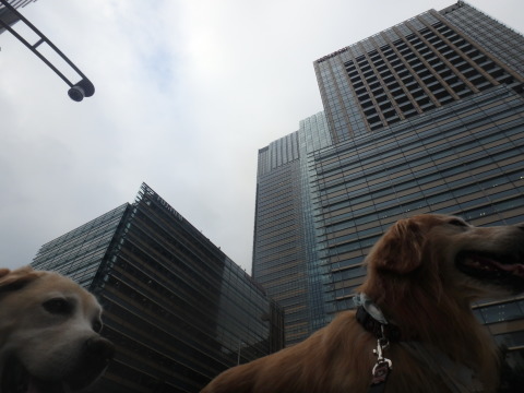 f0052277_02562398.jpg
