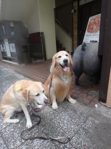 f0052277_03015397.jpg