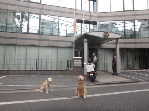 f0052277_03052155.jpg