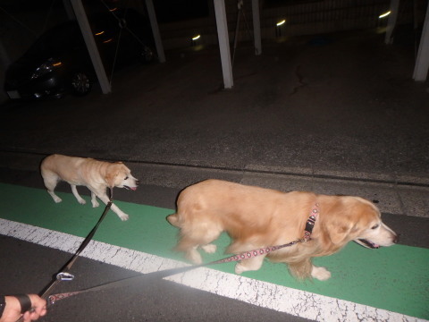 f0052277_03272021.jpg