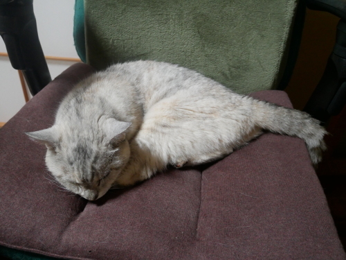 f0054677_06575959.jpg